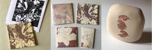 capcelera difu transfer toner